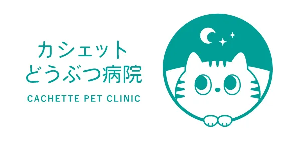 カシェットどうぶつ病院