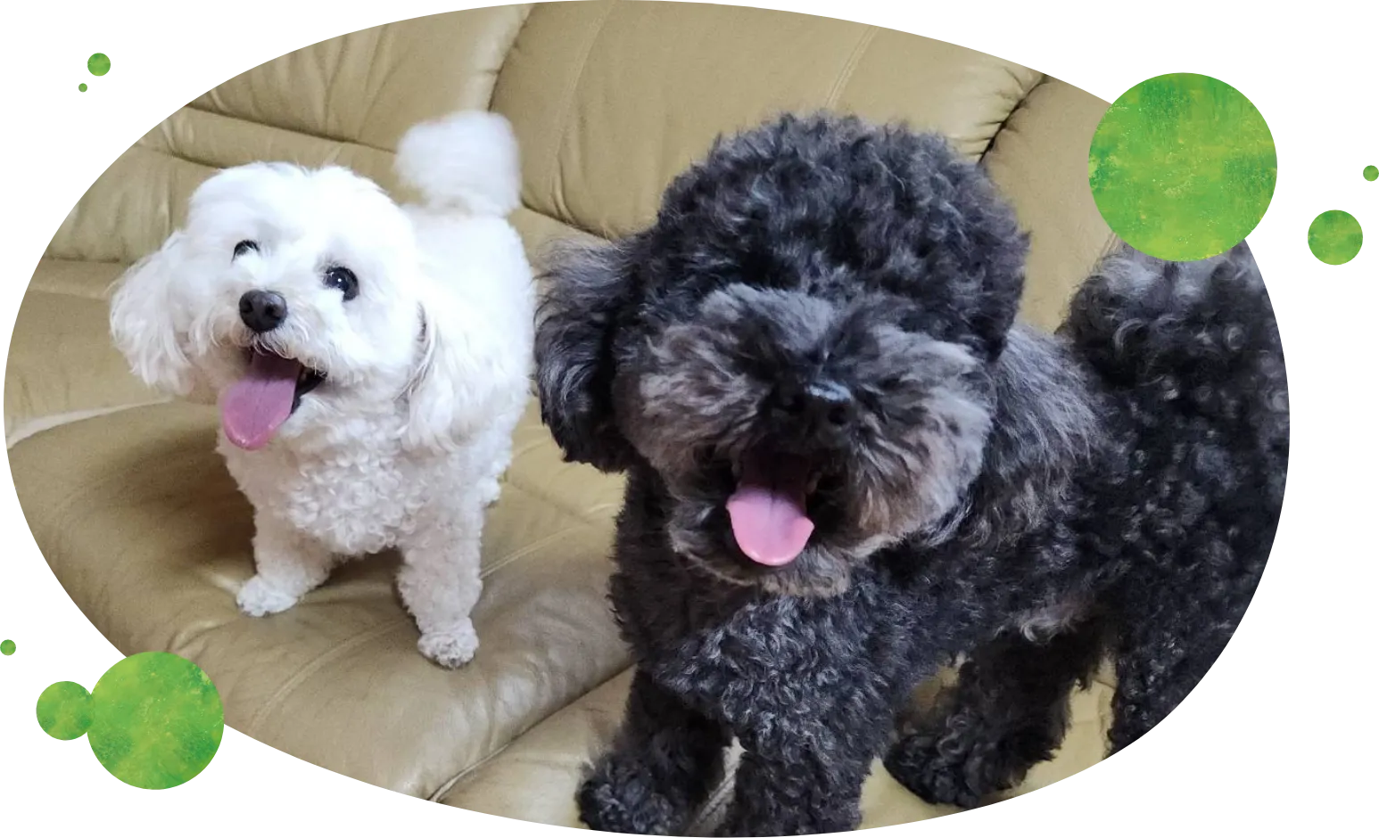 メインビジュアル