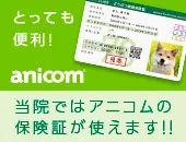 当院ではアニコムの保険証が使えます！！