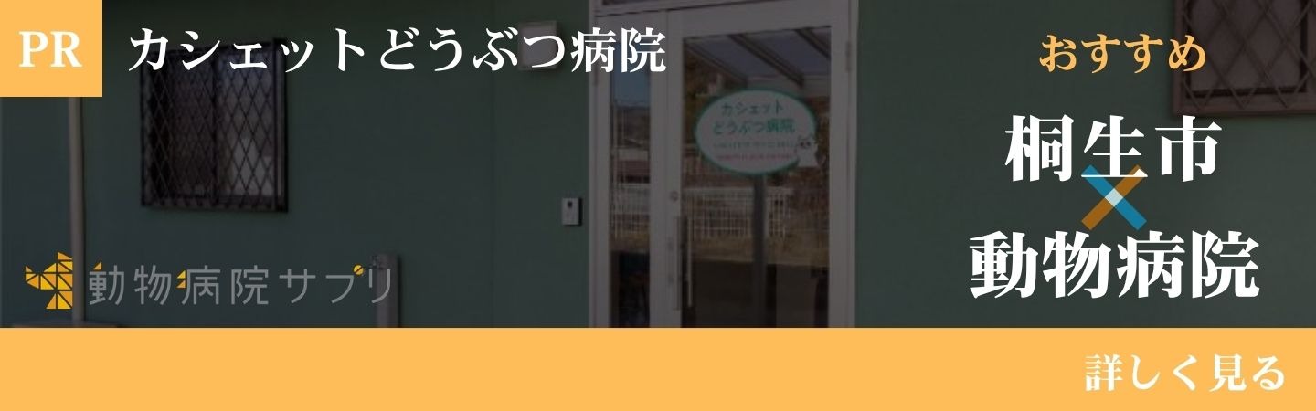 【2026年】桐生市の動物病院 おすすめしたい6医院