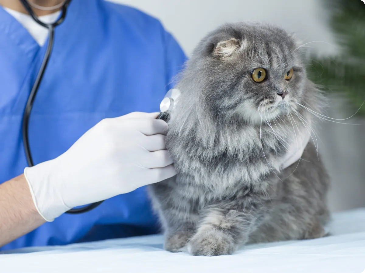 当院についてイメージ