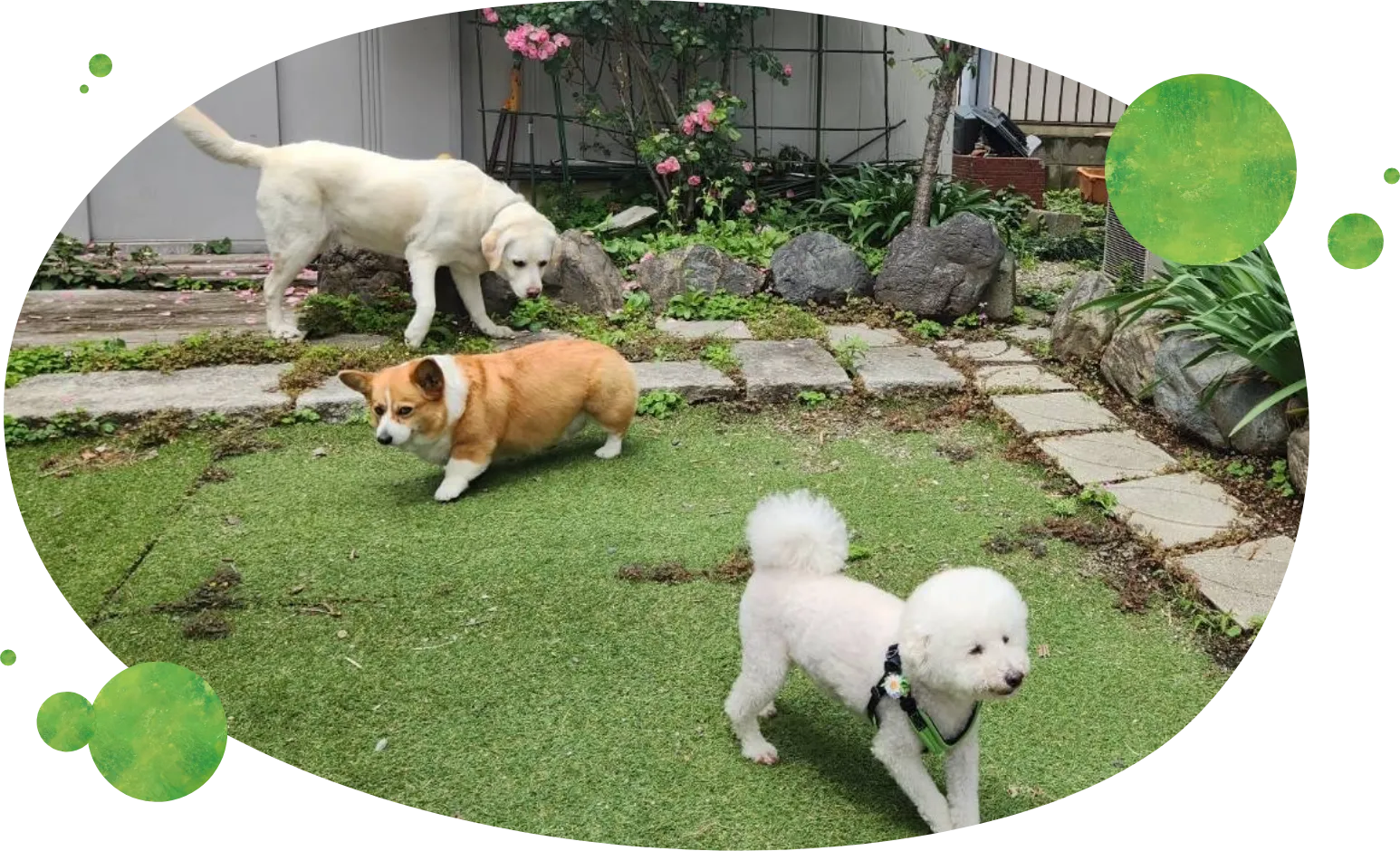 メインビジュアル