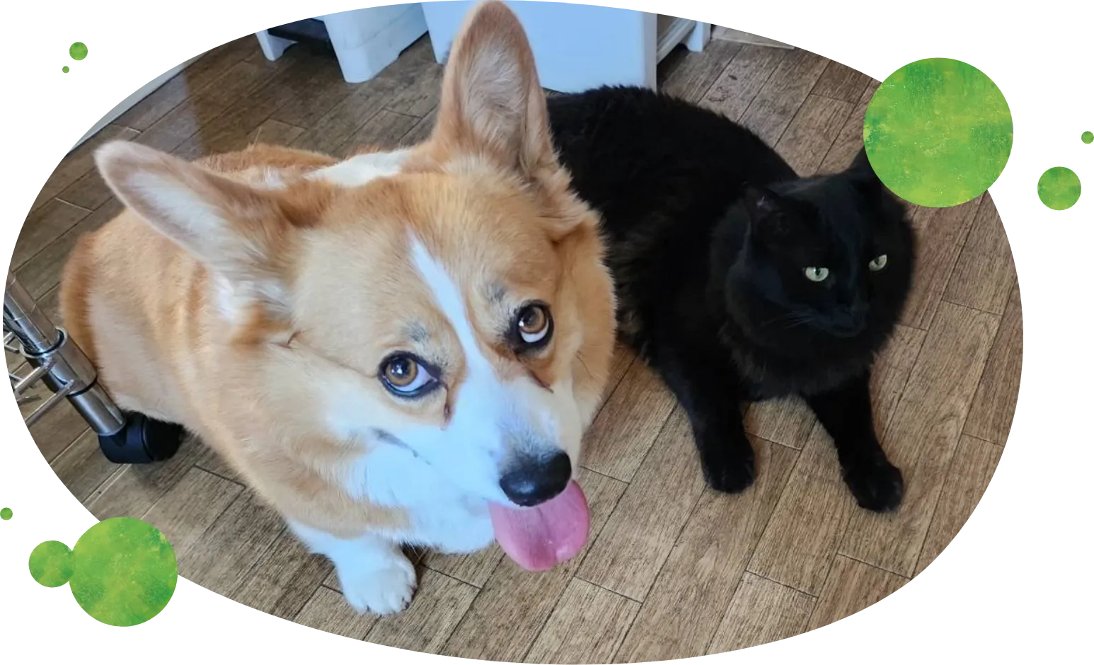 メインビジュアル